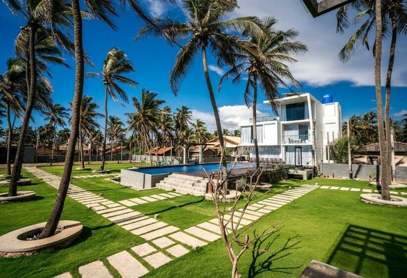 بنسيون The Lighthouse Negombo