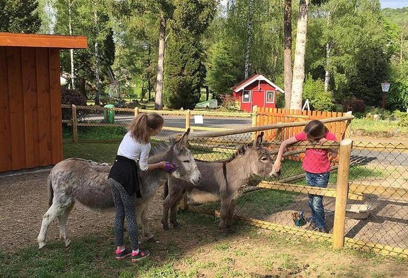 リゾートホテル Vulkaneifel Type B