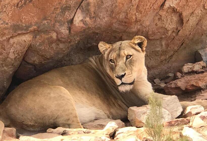 Taj Hotelapart, Taj Hotel Cape Town