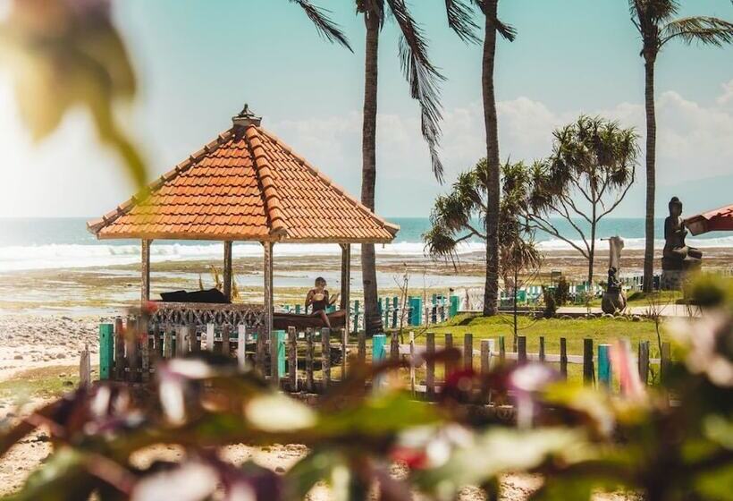 旅馆 The Tree House Sumbawa