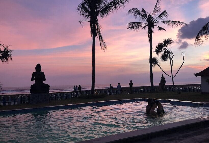 旅馆 The Tree House Sumbawa