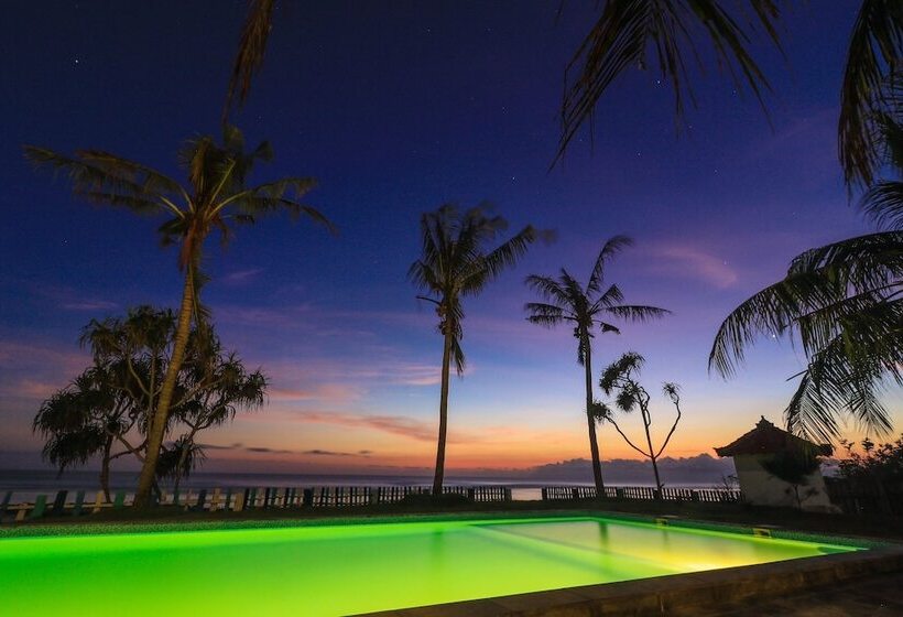 旅馆 The Tree House Sumbawa