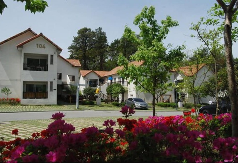 Damyang Meta Pension