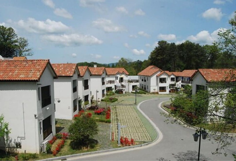 Damyang Meta Pension