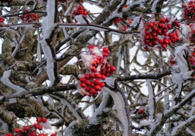 Gite De La Fontaine De Barry