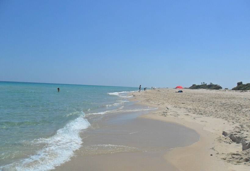 فندق Ben's House