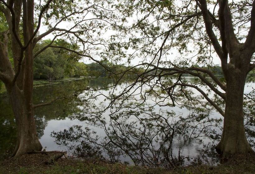 בית מלון כפרי Explorer By Eco Team Dambana