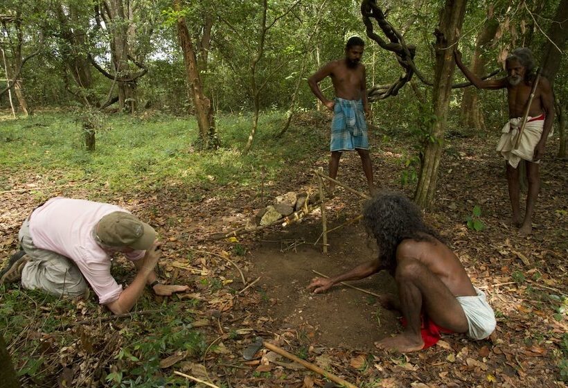 בית מלון כפרי Explorer By Eco Team Dambana