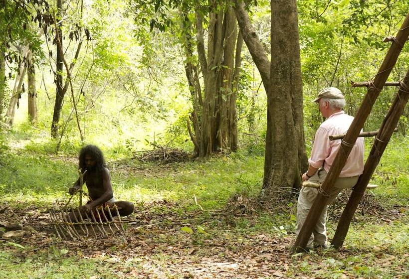 בית מלון כפרי Explorer By Eco Team Dambana