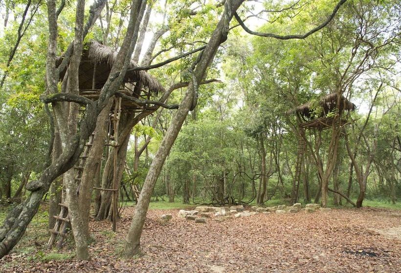 בית מלון כפרי Explorer By Eco Team Dambana