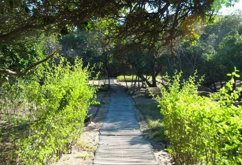 酒店 Nhanombe Lodge