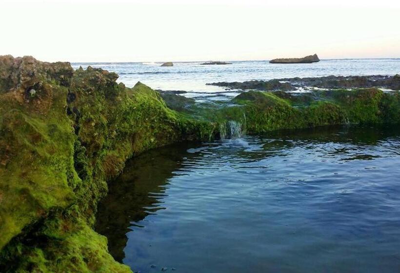 酒店 Nhanombe Lodge