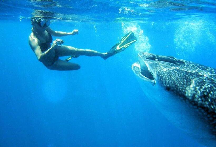 酒店 Nhanombe Lodge