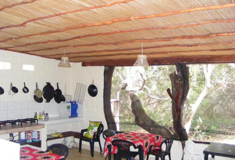 酒店 Nhanombe Lodge