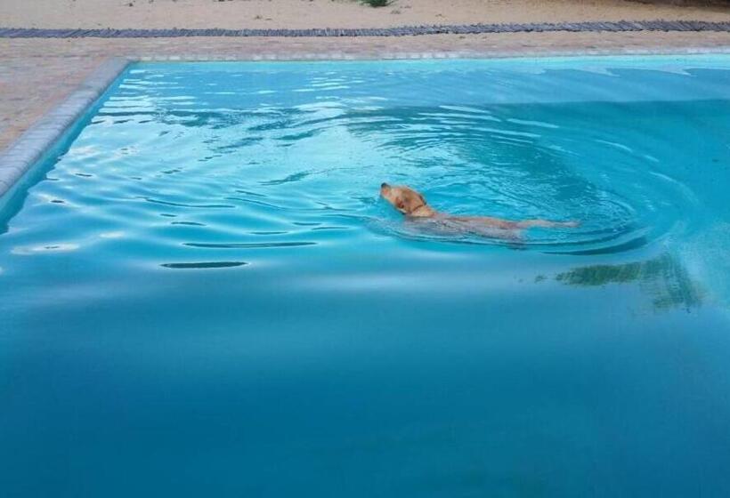 酒店 Nhanombe Lodge