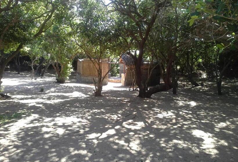 酒店 Nhanombe Lodge