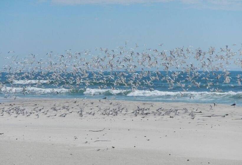 בית מלון כפרי West Coast Luxury Tents