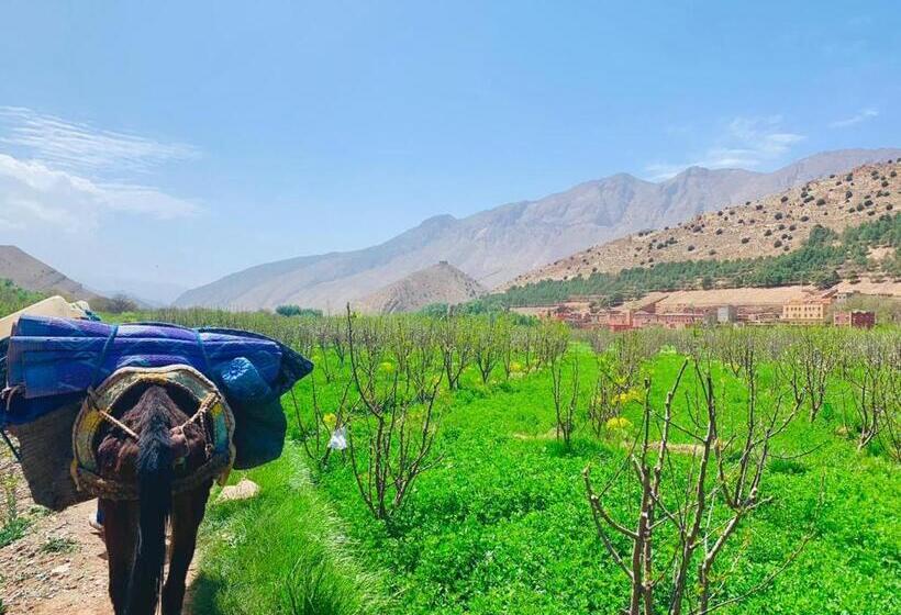 پانسیون Gîte Tawada