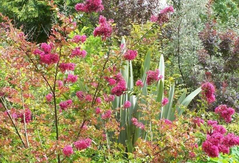 膳宿费 La Clef Des Champs