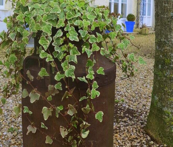 膳宿费 La Clef Des Champs