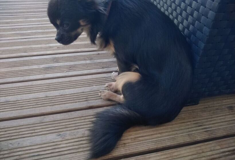 بنسيون Le Merey   Chambre D Hotes