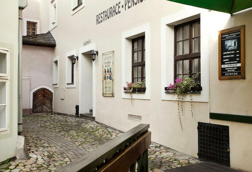 پانسیون Penzion A Restaurace Modrá Růže Tábor