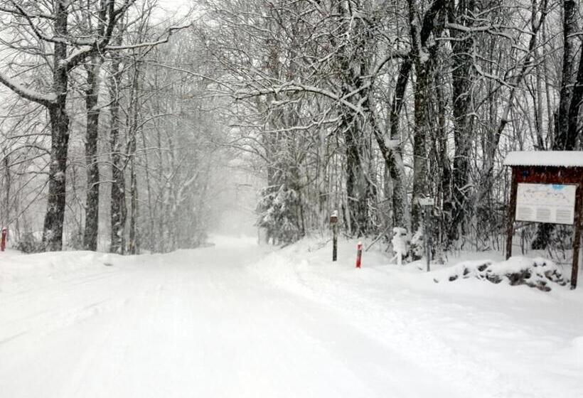 ペンション Penzion Na Navsi