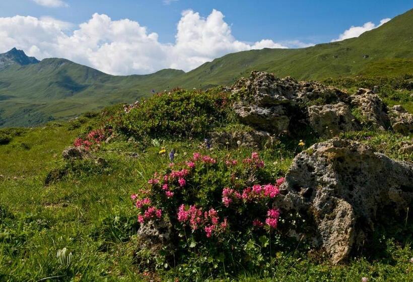 Pension Zum Wilden Hannes