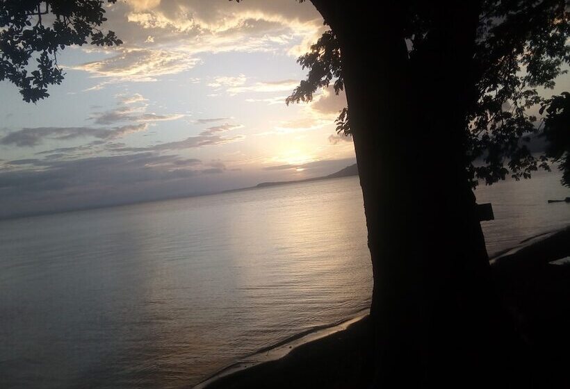 호스텔 Los Chocoyos