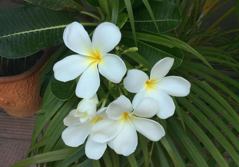 호스텔 Mo2 Stylish