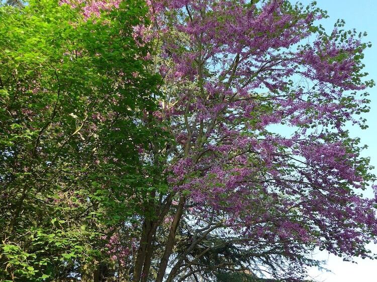 B&b Au Pain Quotidien