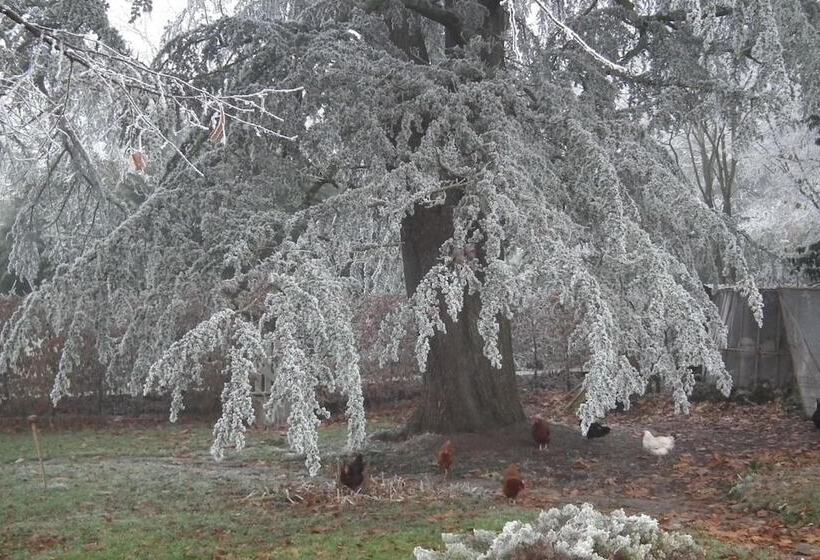 B&b Au Pain Quotidien