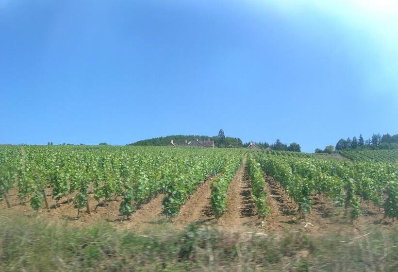 B&b Au Pain Quotidien