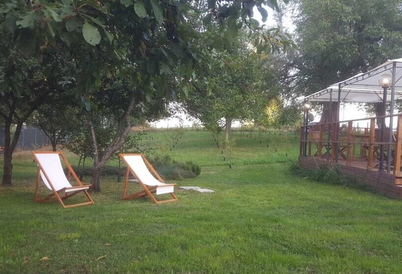 B&b Le Terre Matildiche