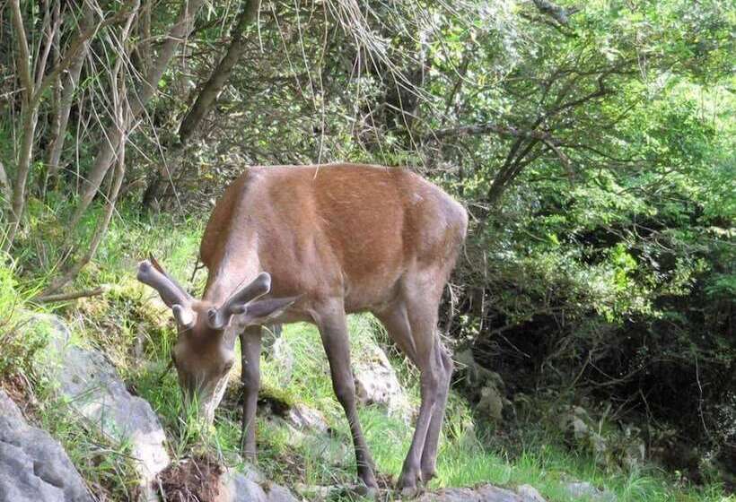 Nirvana Bed And Breakfast Experience