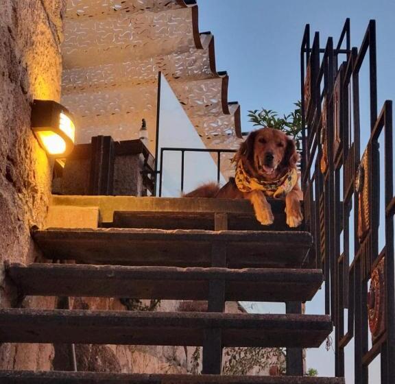 ベッドアンドブレックファースト Assos Sunset Boutique