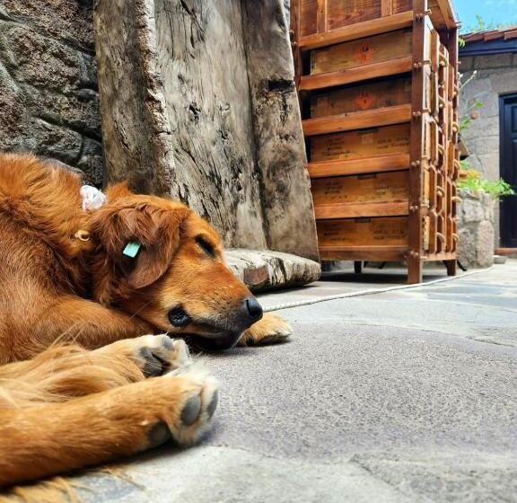 ベッドアンドブレックファースト Assos Sunset Boutique