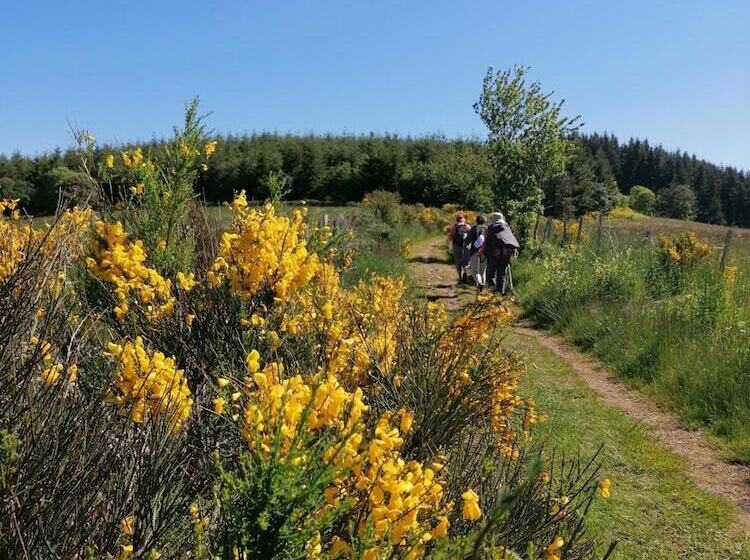 צימר Chambre D Hôtes Les Myriades D Or