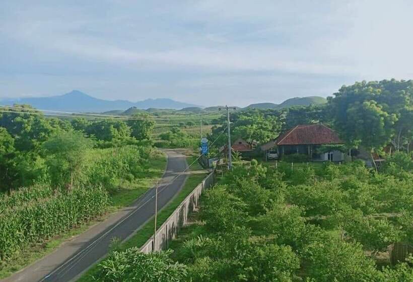 مبيت وإفطار Ekas Garden Bungalow