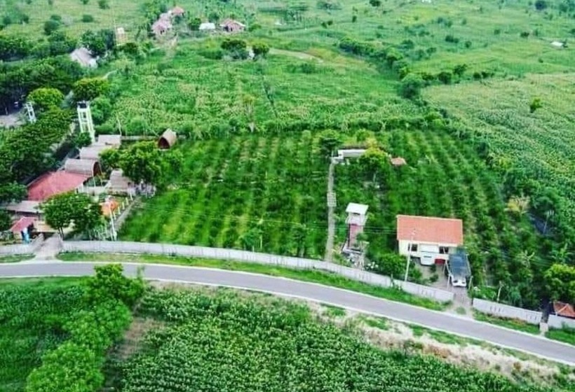 مبيت وإفطار Ekas Garden Bungalow