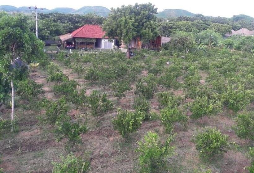 مبيت وإفطار Ekas Garden Bungalow