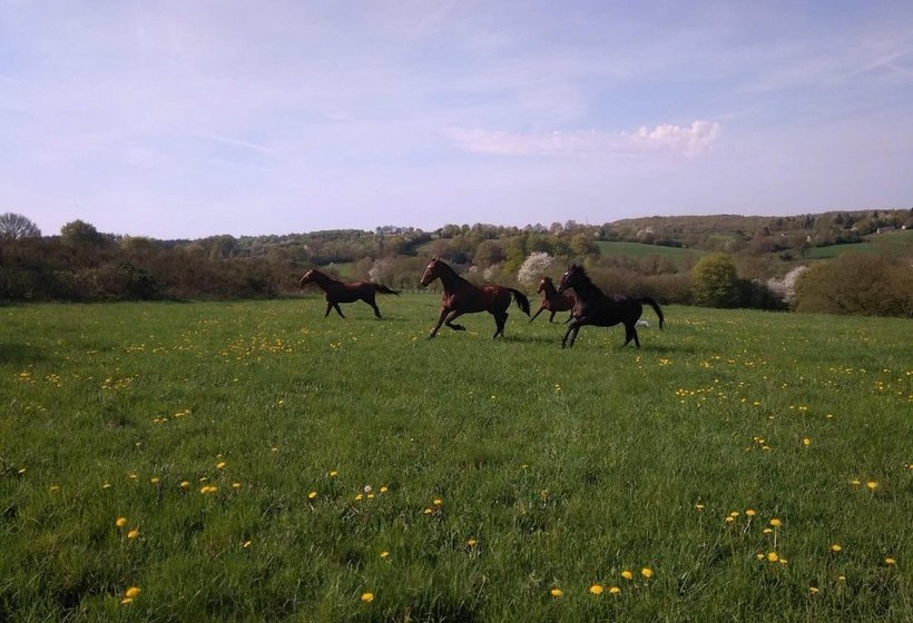 민박 Haras De La Croix D'argent