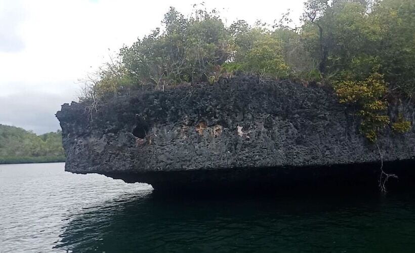 住宿加早餐  Hoga Island Dive Resort Wakatobi