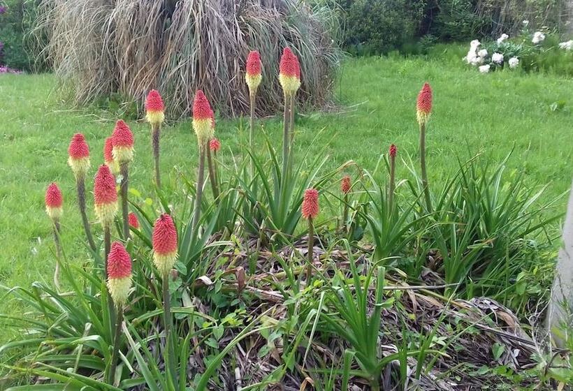 Bed and Breakfast La Maison Du Saussoy