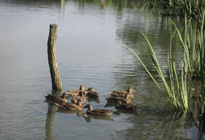 민박 Le Moulin De Champ Bruneau