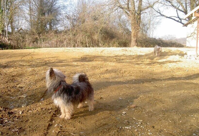 ベッドアンドブレックファースト Le Moulin Des Marionnettes