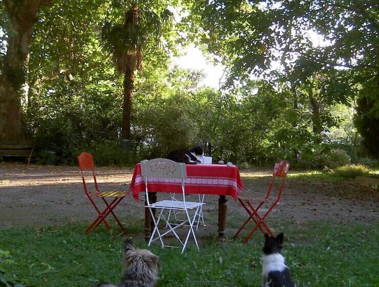 ベッドアンドブレックファースト Le Moulin Des Marionnettes