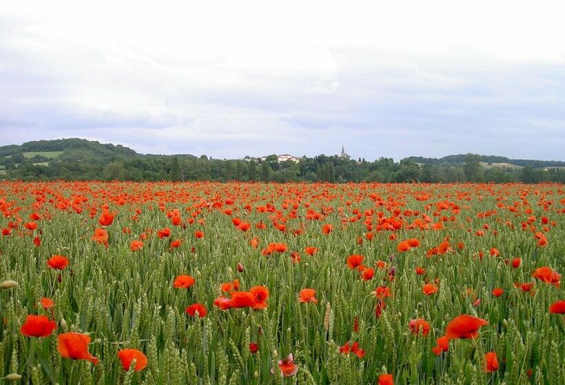 ベッドアンドブレックファースト Le Moulin Des Marionnettes