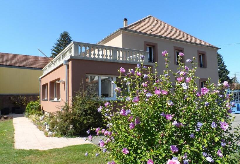 Bed and Breakfast Maison Curiale