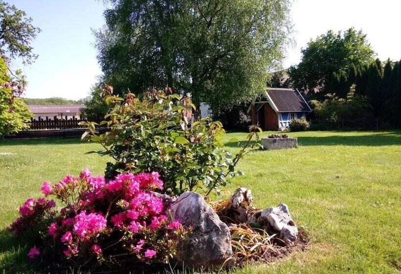 Bed and Breakfast Maison Curiale